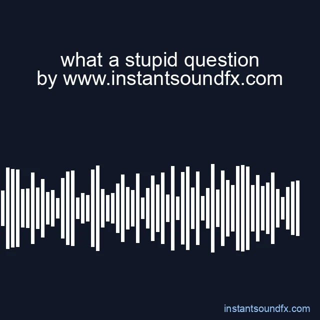 what a stupid question image