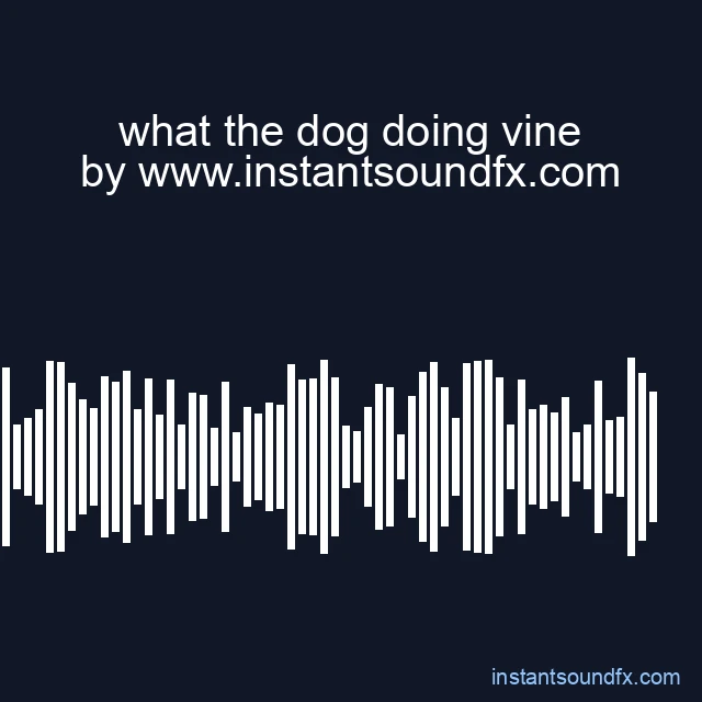 what the dog doing vine image