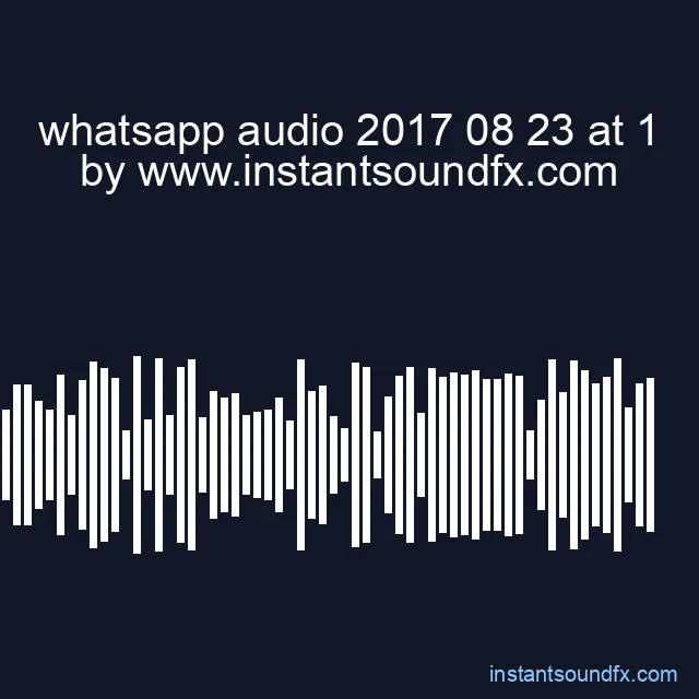 whatsapp audio 2017 08 23 at 1 image