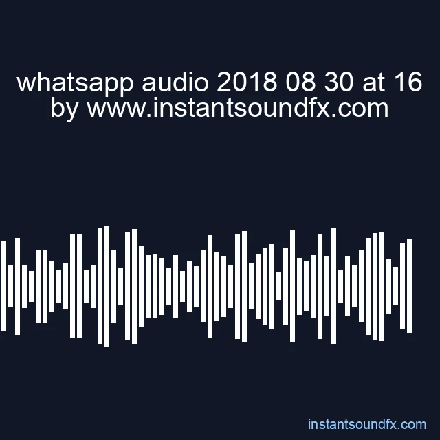 whatsapp audio 2018 08 30 at 16 image