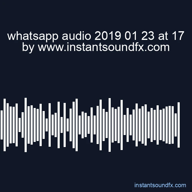 whatsapp audio 2019 01 23 at 17 image