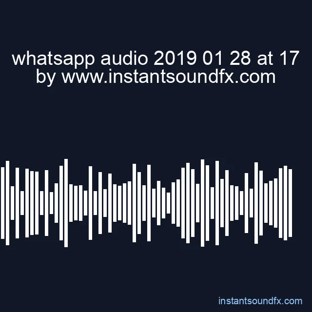 whatsapp audio 2019 01 28 at 17 image