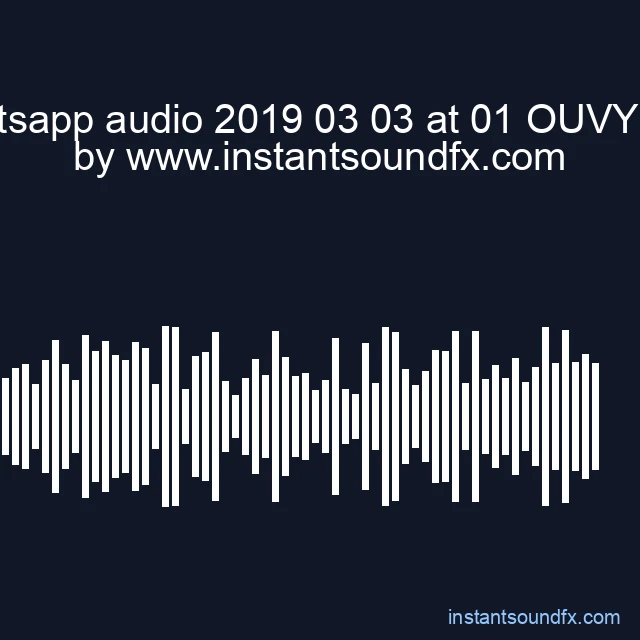 whatsapp audio 2019 03 03 at 01 OUVYCsH image