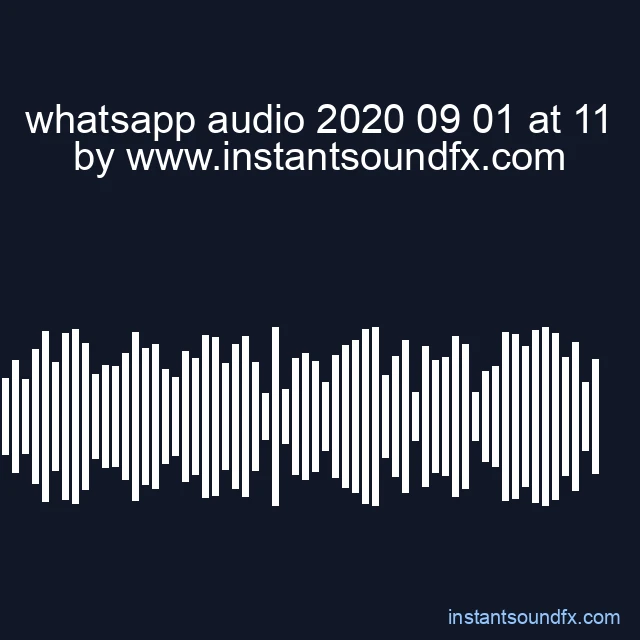 whatsapp audio 2020 09 01 at 11 image