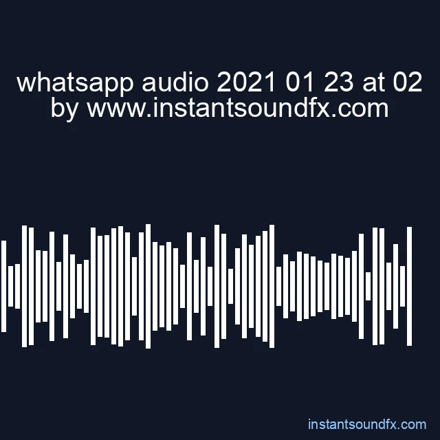 whatsapp audio 2021 01 23 at 02 image