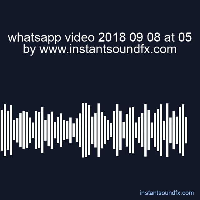 whatsapp video 2018 09 08 at 05 image