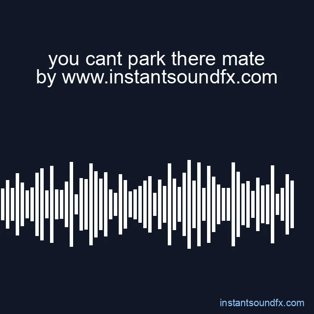 you cant park there mate image