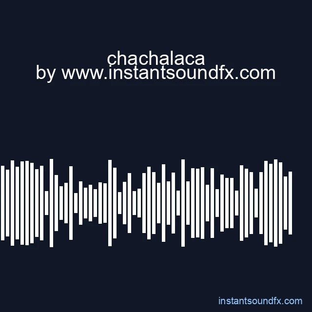 chachalaca image