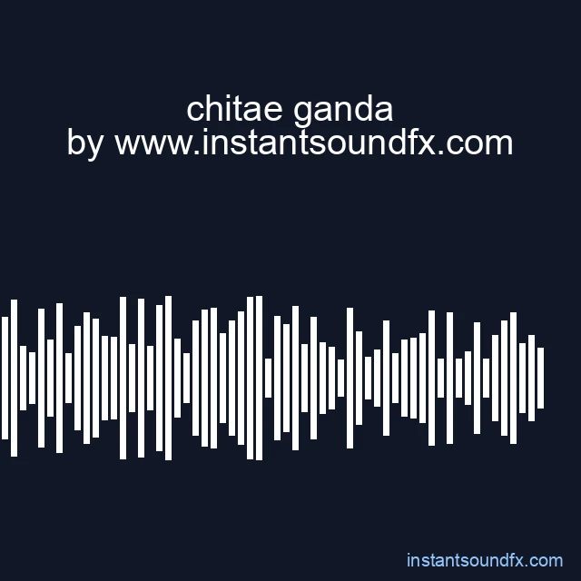 chitae ganda image