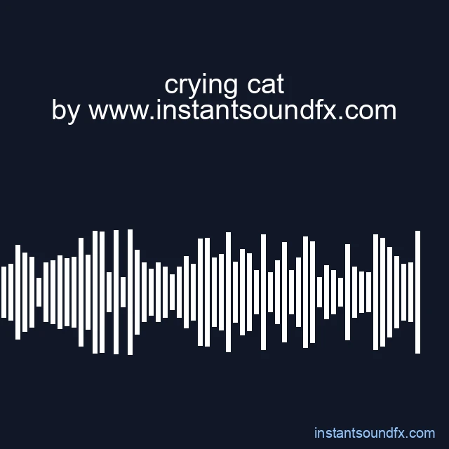 crying cat image