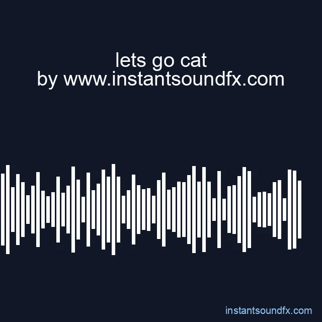 lets go cat image