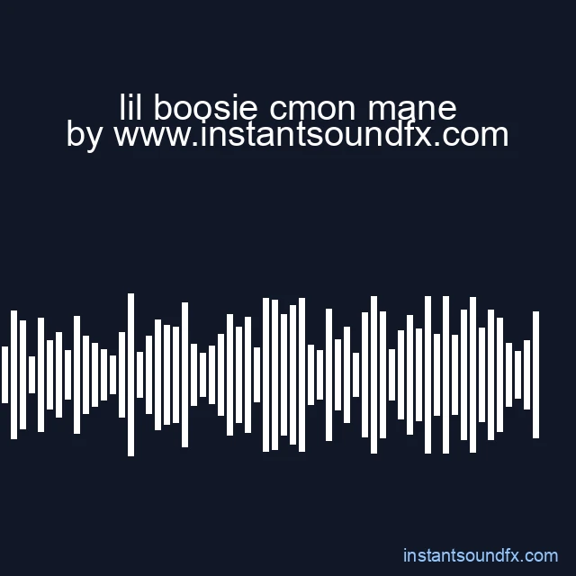 lil boosie cmon mane image