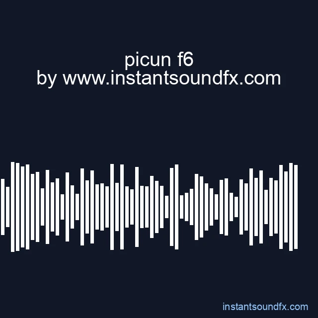 picun f6 image