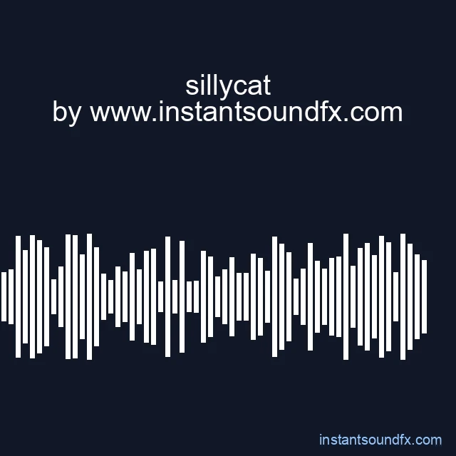 sillycat image