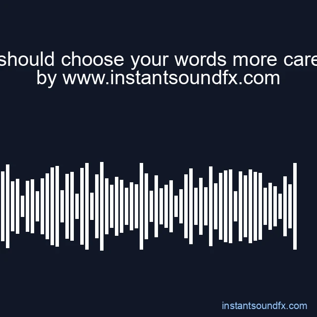 you should choose your words more carefully image